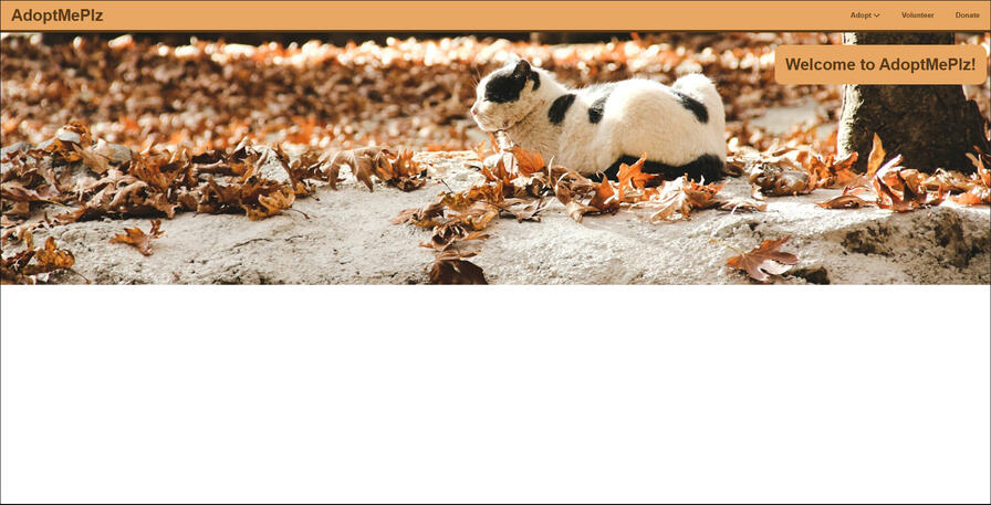 AdoptMePlz Website [Dropdown Menu Website] (Coding Project) Live Website Link